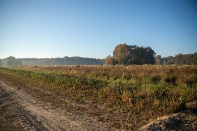 1,060+/- acres in Yazoo County with 1.7+/- miles of Big Black - photo 28
