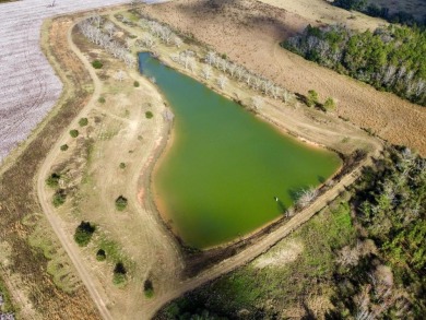 This versatile riverfront development land is located in the - photo 29