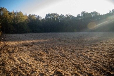 1,060+/- acres in Yazoo County with 1.7+/- miles of Big Black - photo 29