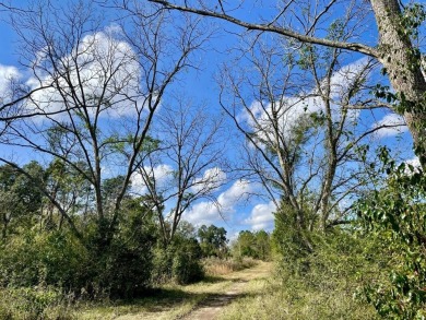 This versatile riverfront development land is located in the - photo 30