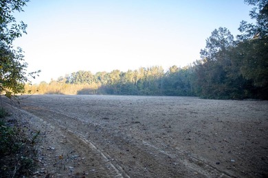 1,060+/- acres in Yazoo County with 1.7+/- miles of Big Black - photo 30