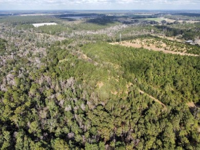 This versatile riverfront development land is located in the - photo 31