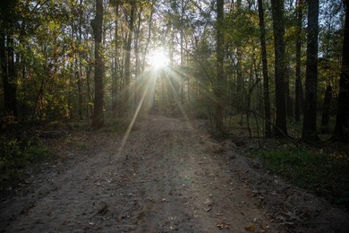 1,060+/- acres in Yazoo County with 1.7+/- miles of Big Black - photo 31
