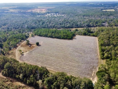 This versatile riverfront development land is located in the - photo 32