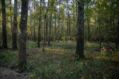 1,060+/- acres in Yazoo County with 1.7+/- miles of Big Black - photo 32