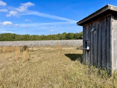 This versatile riverfront development land is located in the - photo 33