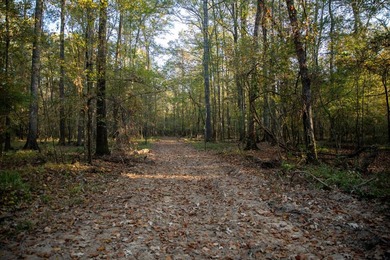 1,060+/- acres in Yazoo County with 1.7+/- miles of Big Black - photo 33