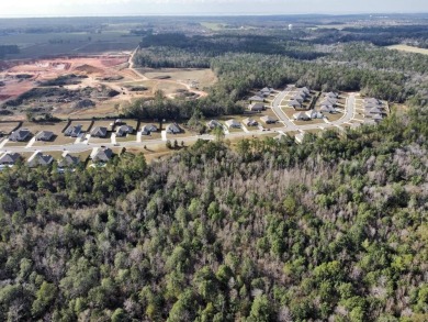 This versatile riverfront development land is located in the - photo 34
