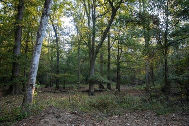 1,060+/- acres in Yazoo County with 1.7+/- miles of Big Black - photo 34
