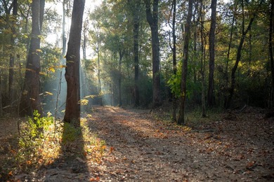 1,060+/- acres in Yazoo County with 1.7+/- miles of Big Black - photo 35