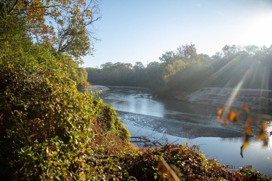 1,060+/- acres in Yazoo County with 1.7+/- miles of Big Black - photo 36