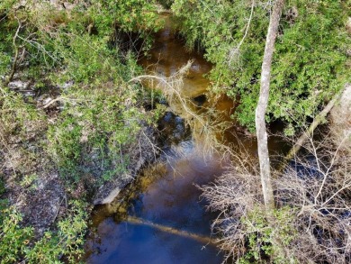 This versatile riverfront development land is located in the - photo 37