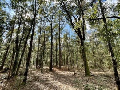 This versatile riverfront development land is located in the - photo 38