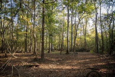 1,060+/- acres in Yazoo County with 1.7+/- miles of Big Black - photo 38