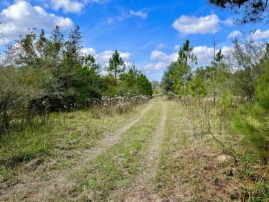 This versatile riverfront development land is located in the - photo 39