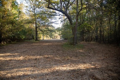 1,060+/- acres in Yazoo County with 1.7+/- miles of Big Black - photo 39