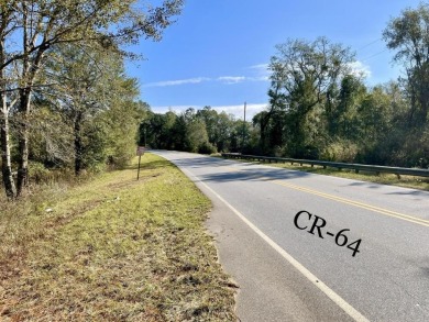 This versatile riverfront development land is located in the - photo 40