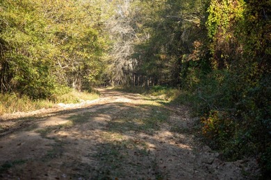 1,060+/- acres in Yazoo County with 1.7+/- miles of Big Black - photo 40