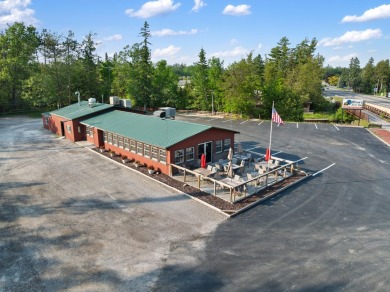 Lake Commercial For Sale in Indian River, Michigan