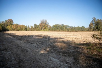 1,060+/- acres in Yazoo County with 1.7+/- miles of Big Black - photo 42