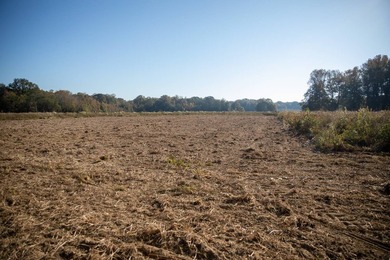1,060+/- acres in Yazoo County with 1.7+/- miles of Big Black - photo 43