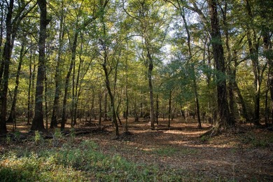 1,060+/- acres in Yazoo County with 1.7+/- miles of Big Black - photo 45