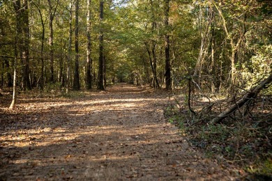 1,060+/- acres in Yazoo County with 1.7+/- miles of Big Black - photo 46