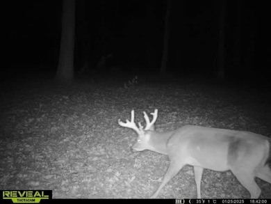 1,060+/- acres in Yazoo County with 1.7+/- miles of Big Black - photo 47