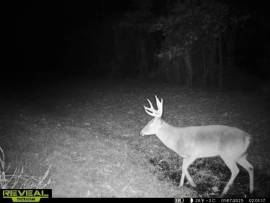 1,060+/- acres in Yazoo County with 1.7+/- miles of Big Black - photo 48