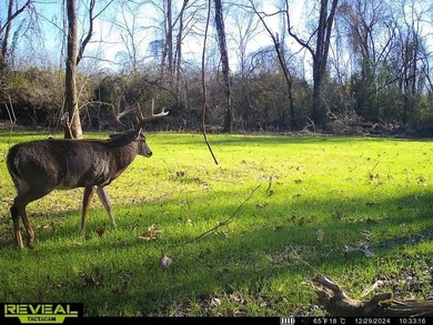 1,060+/- acres in Yazoo County with 1.7+/- miles of Big Black - photo 49