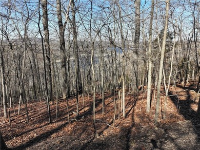 Views, Views, Views! Come build on this double lot on E Center - photo 4