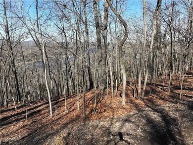 Views, Views, Views! Come build on this double lot on E Center - photo 5