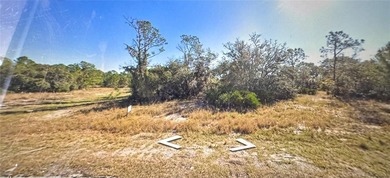 Lake Marion - Polk County Lot For Sale in Poinciana Florida