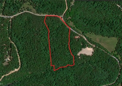 Come enjoy 21.9 +/- acres located near Beaver Lake. This - photo 2