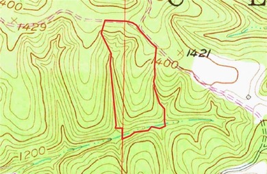 Come enjoy 21.9 +/- acres located near Beaver Lake. This - photo 3