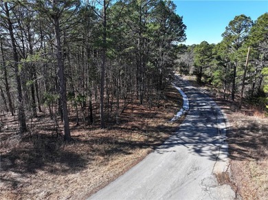 Come enjoy 21.9 +/- acres located near Beaver Lake. This - photo 5