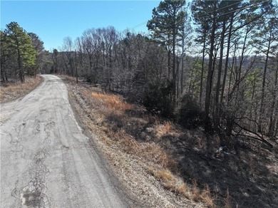 Come enjoy 21.9 +/- acres located near Beaver Lake. This - photo 6