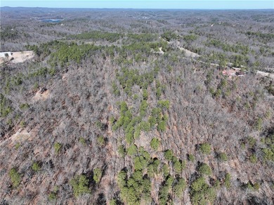 Come enjoy 21.9 +/- acres located near Beaver Lake. This - photo 7