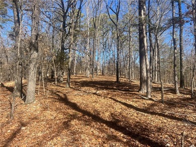 Come enjoy 21.9 +/- acres located near Beaver Lake. This - photo 10