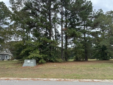 Lake Lot For Sale in Wallace, North Carolina
