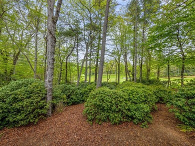 Nestled among the trees in the desirable Lake Toxaway area - photo 31