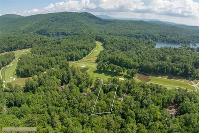 Nestled among the trees in the desirable Lake Toxaway area - photo 33