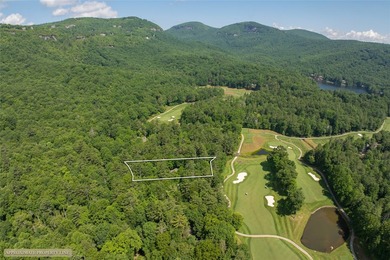 Nestled among the trees in the desirable Lake Toxaway area - photo 34