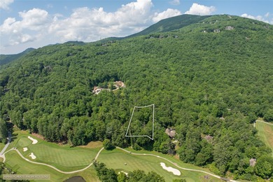 Nestled among the trees in the desirable Lake Toxaway area - photo 35