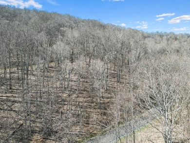 Double Lot on Chestnut Village which is a delightful street w/in - photo 6
