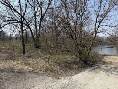 Come build your dream home on the Fox River! Lots like this dont - photo 2