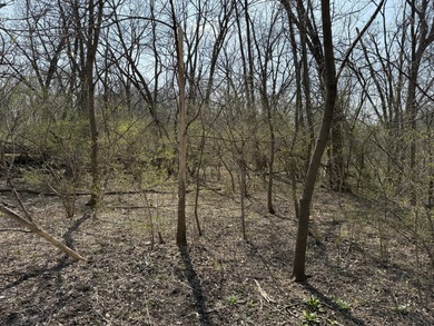 Come build your dream home on the Fox River! Lots like this dont - photo 6