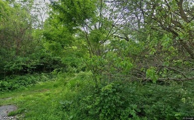 Come build your dream home on the Fox River! Lots like this dont - photo 9