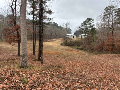 Toledo Bend Reservoir Lot For Sale in Many Louisiana