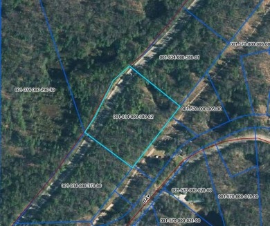 Lake Acreage For Sale in Lewiston, Michigan